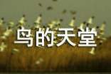 鸟的天堂课后反思