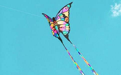 �ŷ������ļ���15ƪ