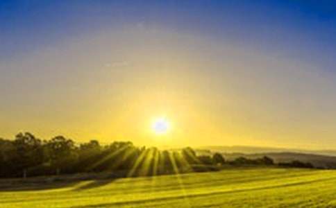 �����ճ����Ĵ�ȫ(15ƪ)