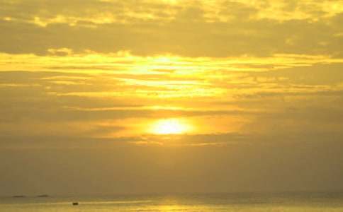 �ճ�����