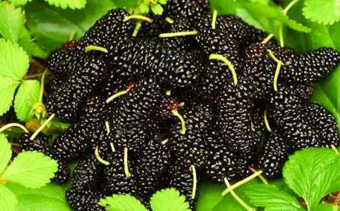 ժɣ������ʵ��15ƪ