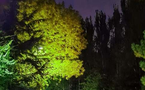 ��������ľ���