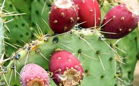 ����������15ƪ����Ʒ��