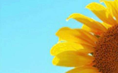 д���տ�������