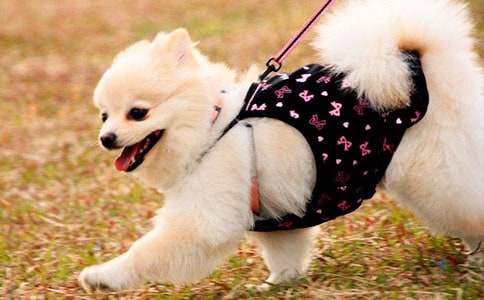 �ҵ�`�����������꼶С��