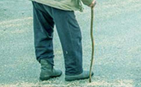 《海蒂和爷爷》观后感(通用49篇)