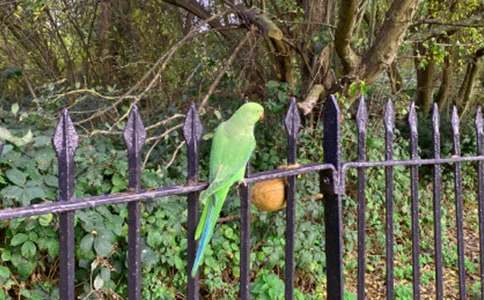 ��������ʵ��[15ƪ]