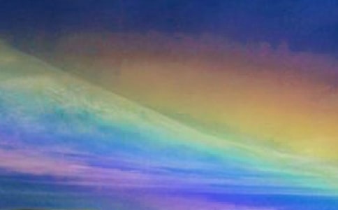 不经历风雨怎能见彩虹优秀作文550字