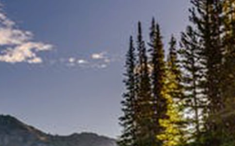 风景如画的乡村 -作文