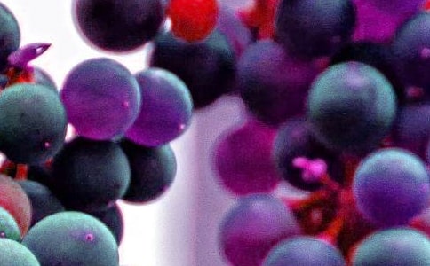 中班水果拼盘亲子活动方案