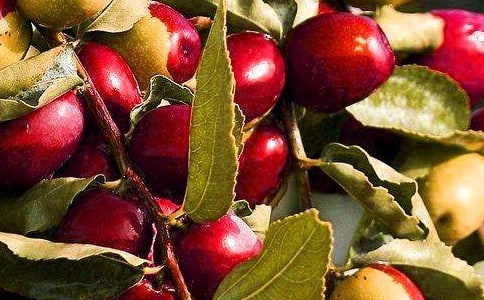 ˮ�������Ľ�����ƪ