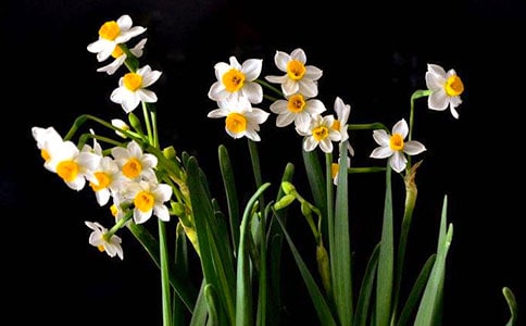 ��ή��ˮ��