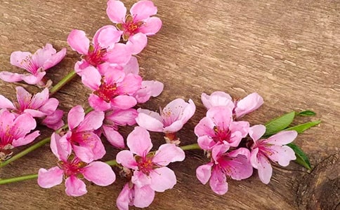 �һ����������ģ�ͨ��28ƪ��