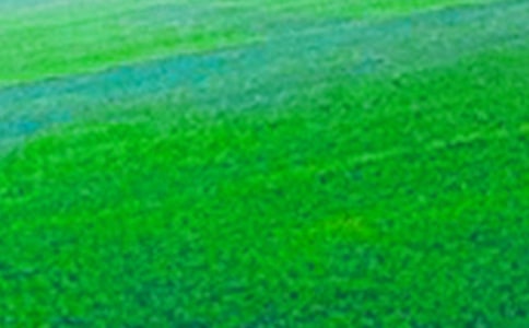 ��Ұ�������ģ�ͨ��56ƪ��