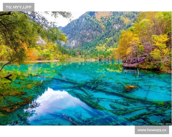九寨沟的美景仿佛来自天际,创造者的天才构思让人叹为观止 九寨沟的美景仿佛来自天际,创造者的天才构思让人叹为观止